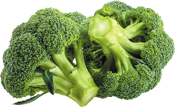 Broccoli – Each/Bunch