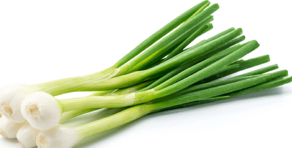 Fresh Spring Onion Bunch | Per Bunch